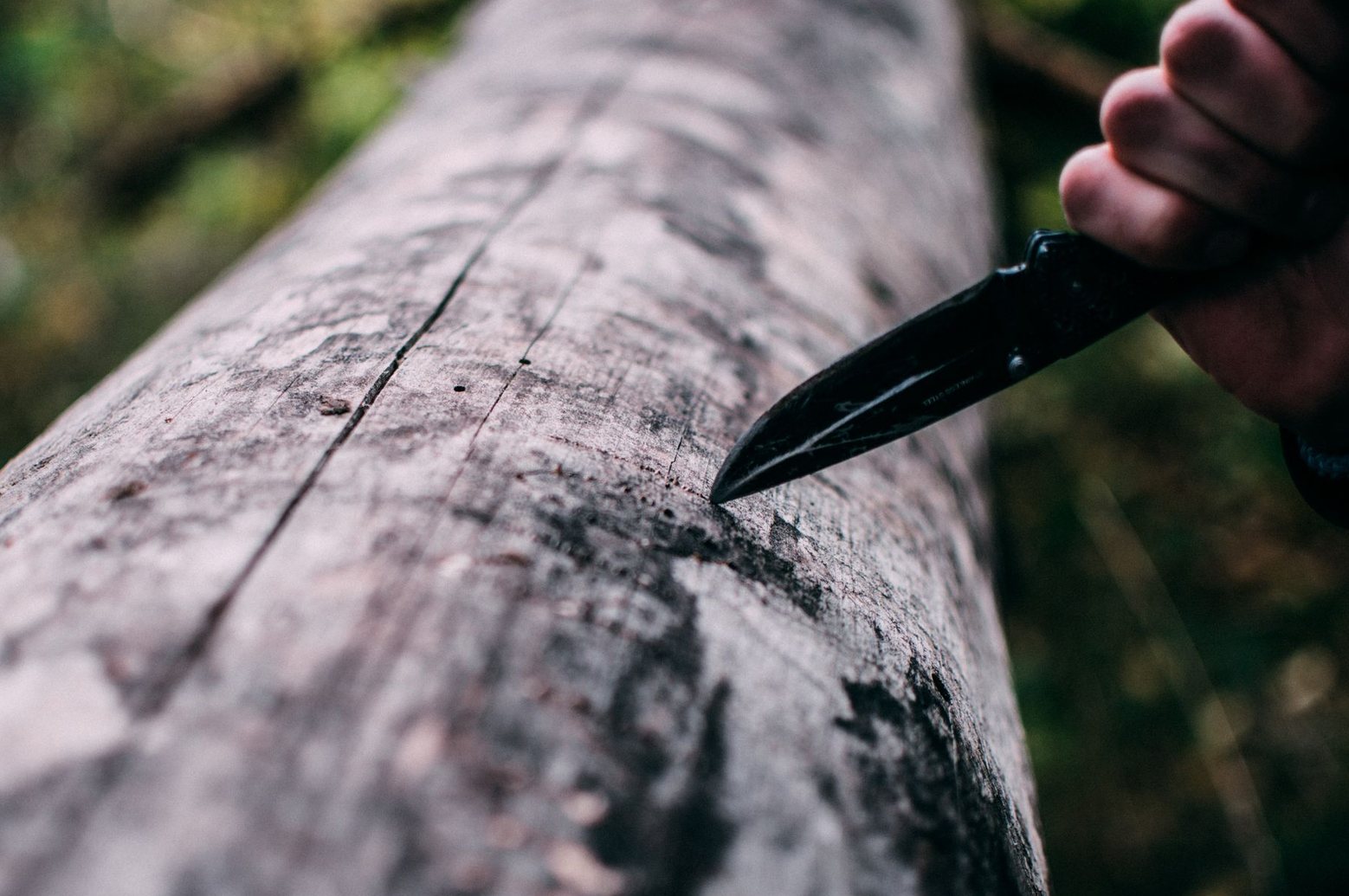 a child whittling a stick with a pocket knife